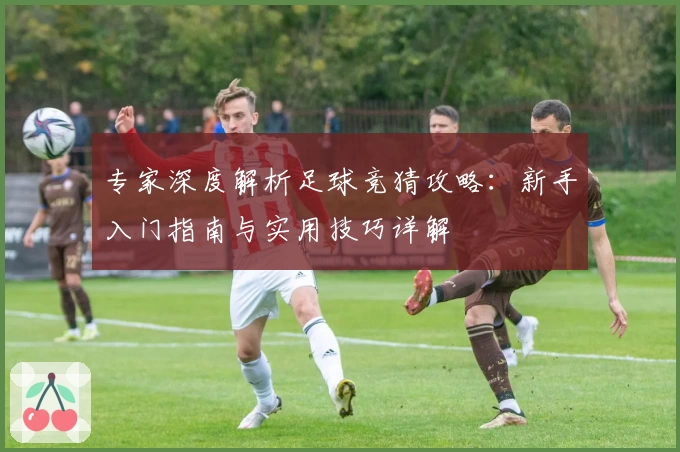 专家深度解析足球竞猜攻略：新手入门指南与实用技巧详解