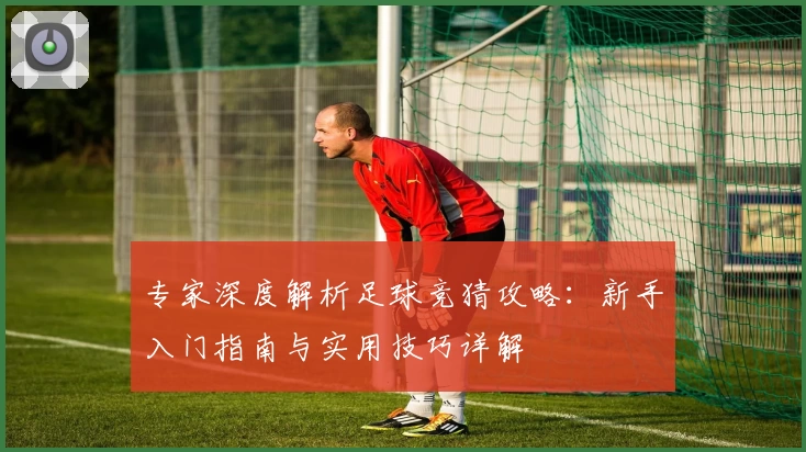 专家深度解析足球竞猜攻略：新手入门指南与实用技巧详解