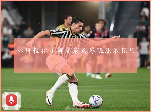 如何轻松了解竞彩足球玩法和技巧