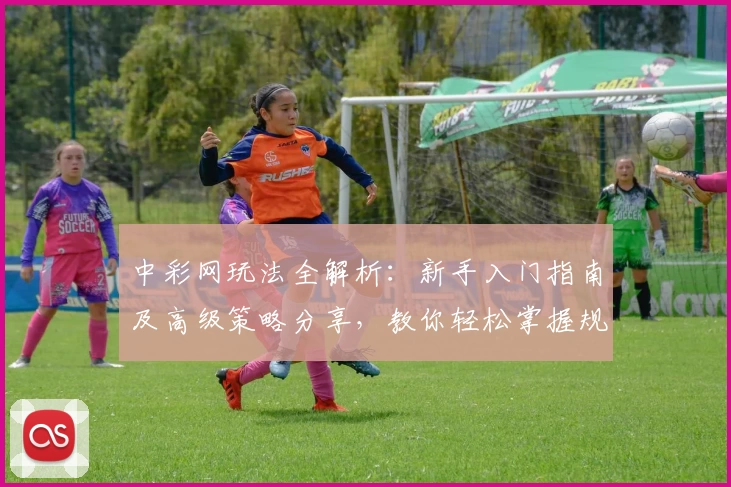 中彩网玩法全解析:新手入门指南及高级策略分享,教你轻松掌握规则与技巧