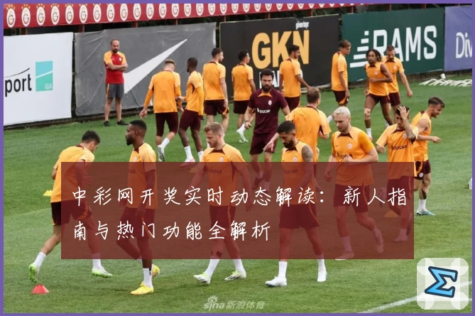 中彩网开奖实时动态解读：新人指南与热门功能全解析