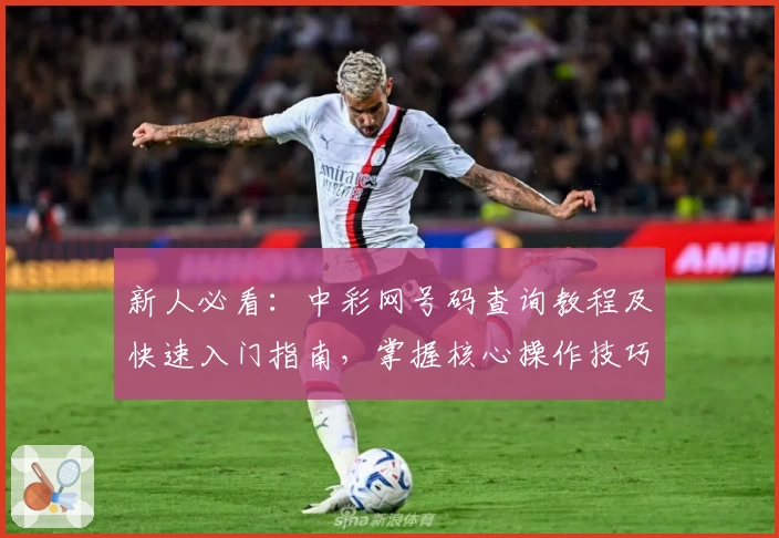 新人必看：中彩网号码查询教程及快速入门指南，掌握核心操作技巧